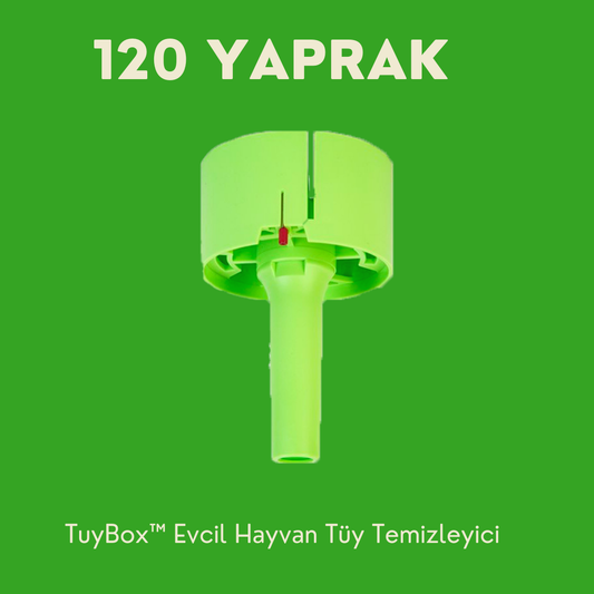 TuyBox™ Evcil Hayvan Tüy Temizleyici, Yeşil